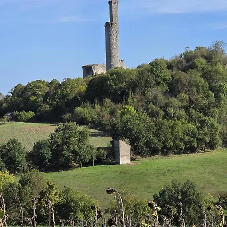 Aux Deux Marronniers Cathares Castelnau-de-Lévis