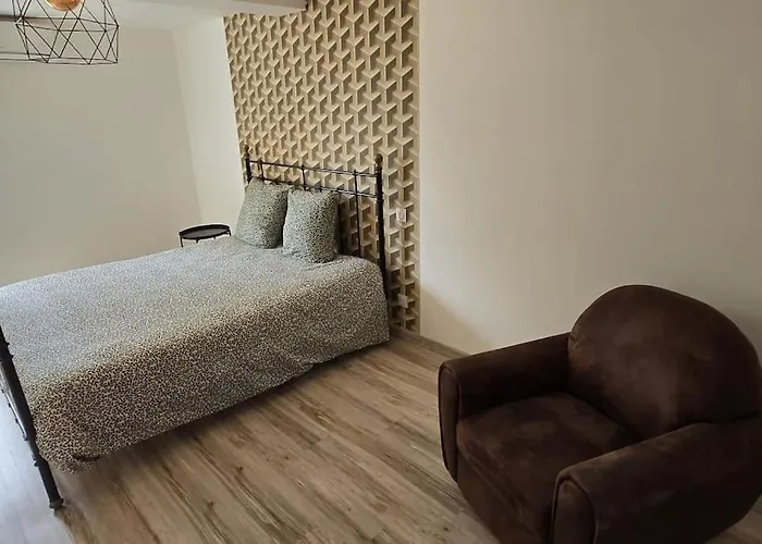 Aux Deux Marronniers Cathares Castelnau-de-Lévis