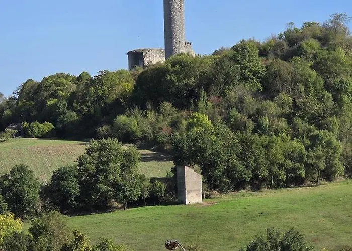 Aux Deux Marronniers Cathares Castelnau-de-Lévis